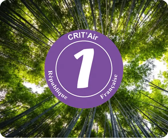 Pastille Crit’Air 1 sur fond de forêt